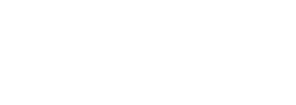 Social Digital Wings